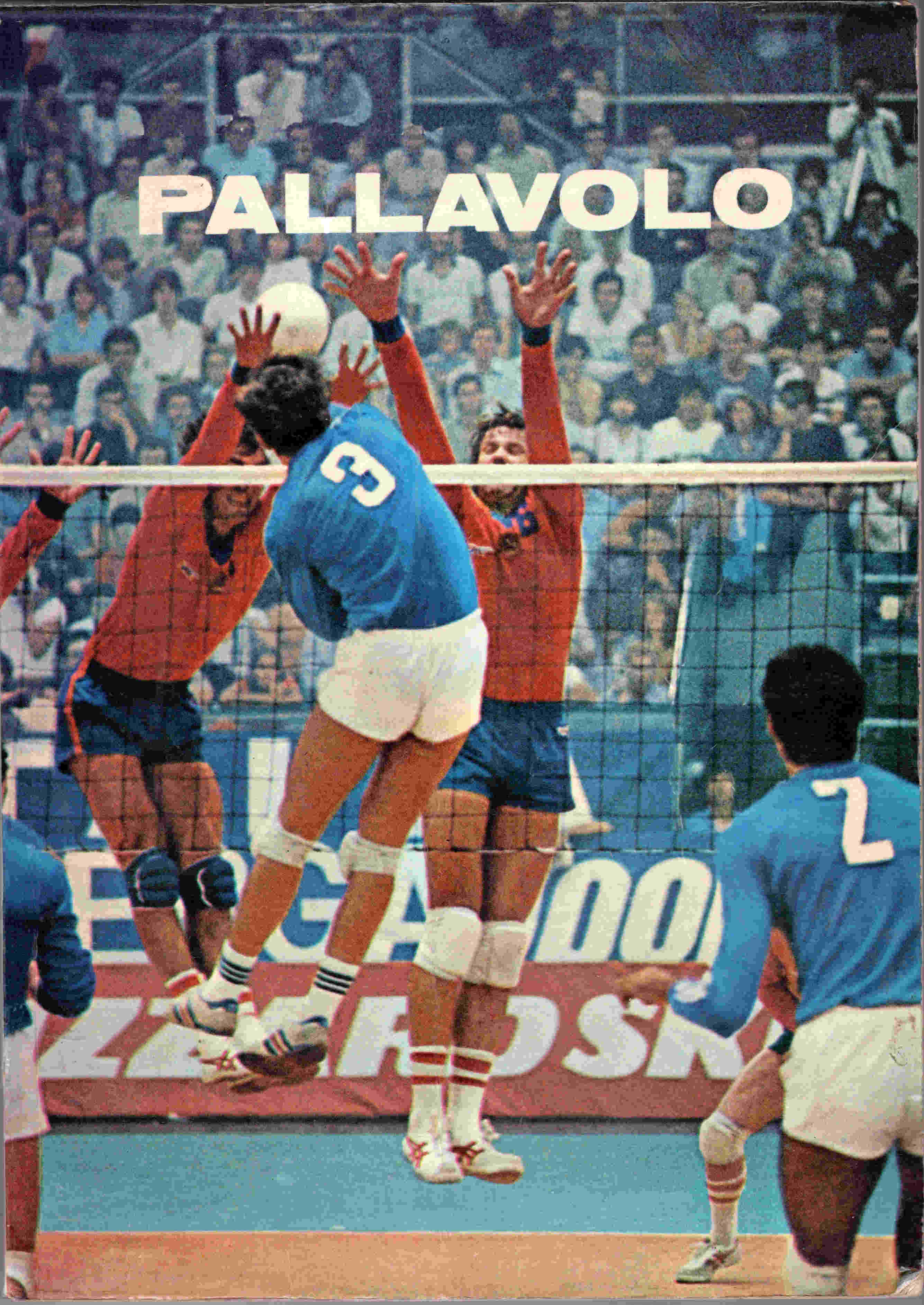 Pallavolo